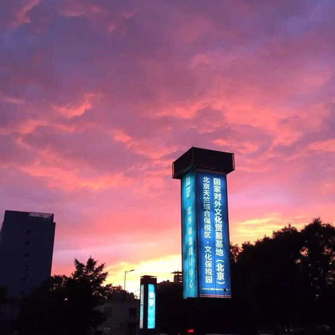杨经理